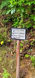Plants: image 7 Of 208 Thumb